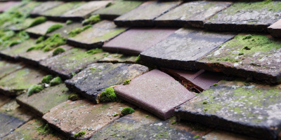 Govilon roof repair costs